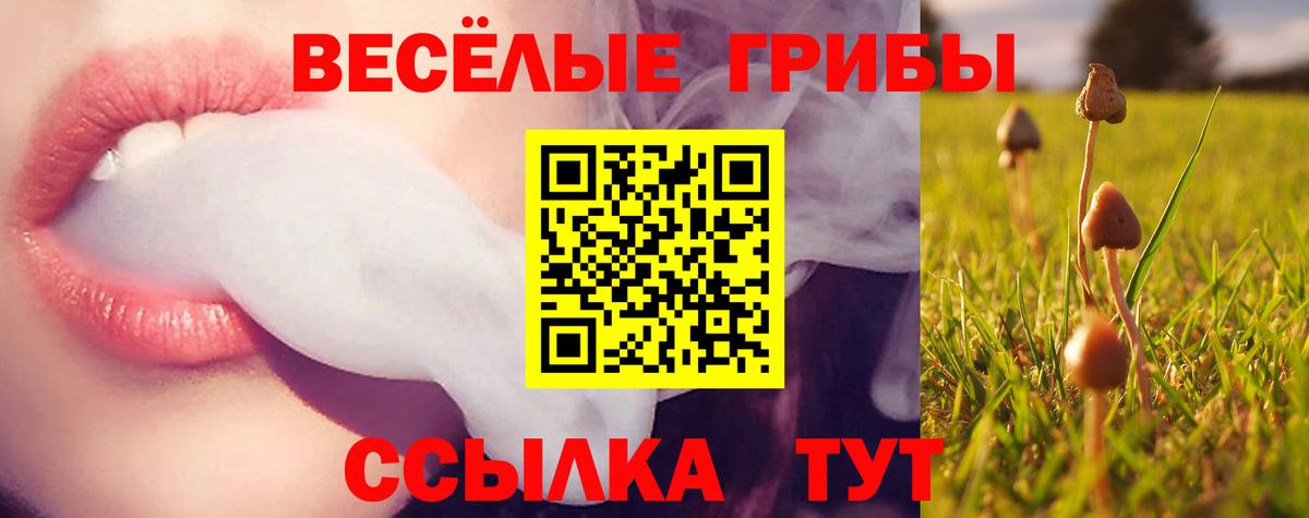 Алейск  Псилоцибиновые грибы MAGIC MUSHROOMS  Вход с VPN  Псилоцибиновые грибы Psilocybine cubensis 